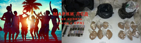 ГАЛЛЮЦИНОГЕННЫЕ ГРИБЫ Алексеевка