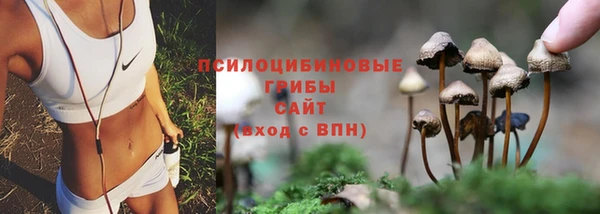 ГАЛЛЮЦИНОГЕННЫЕ ГРИБЫ Алексеевка